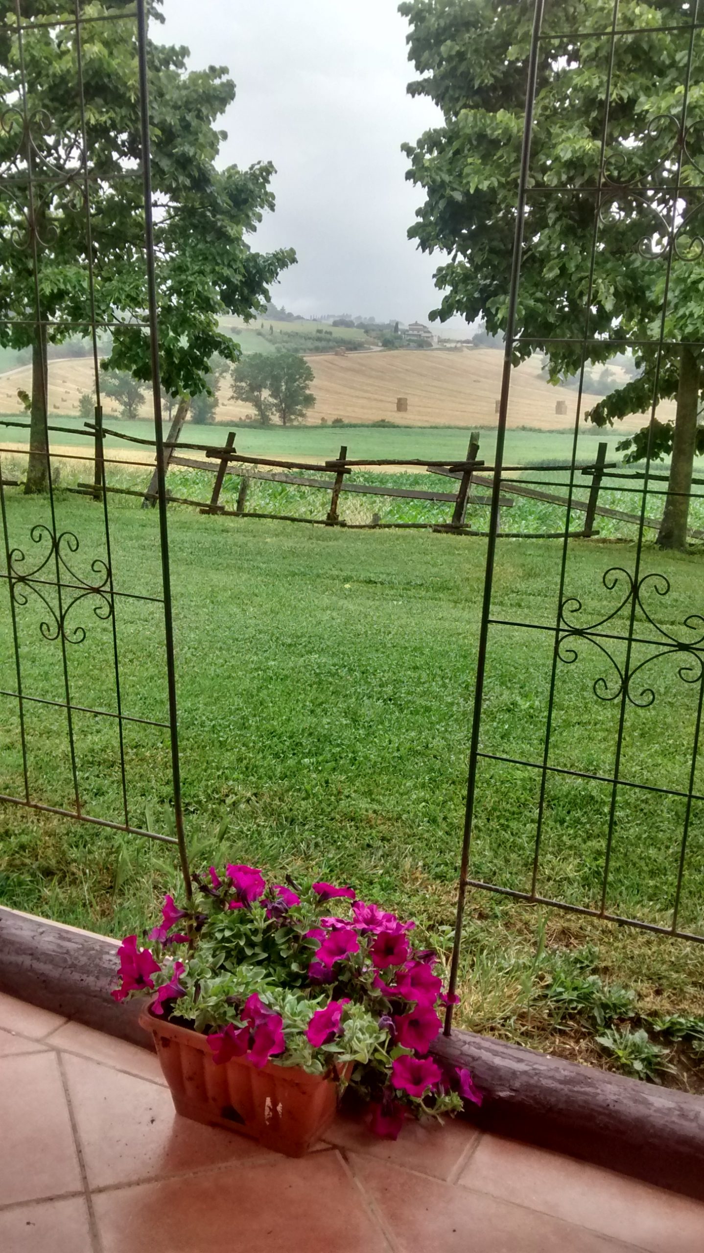 IMG_20200608_092525931_HDR