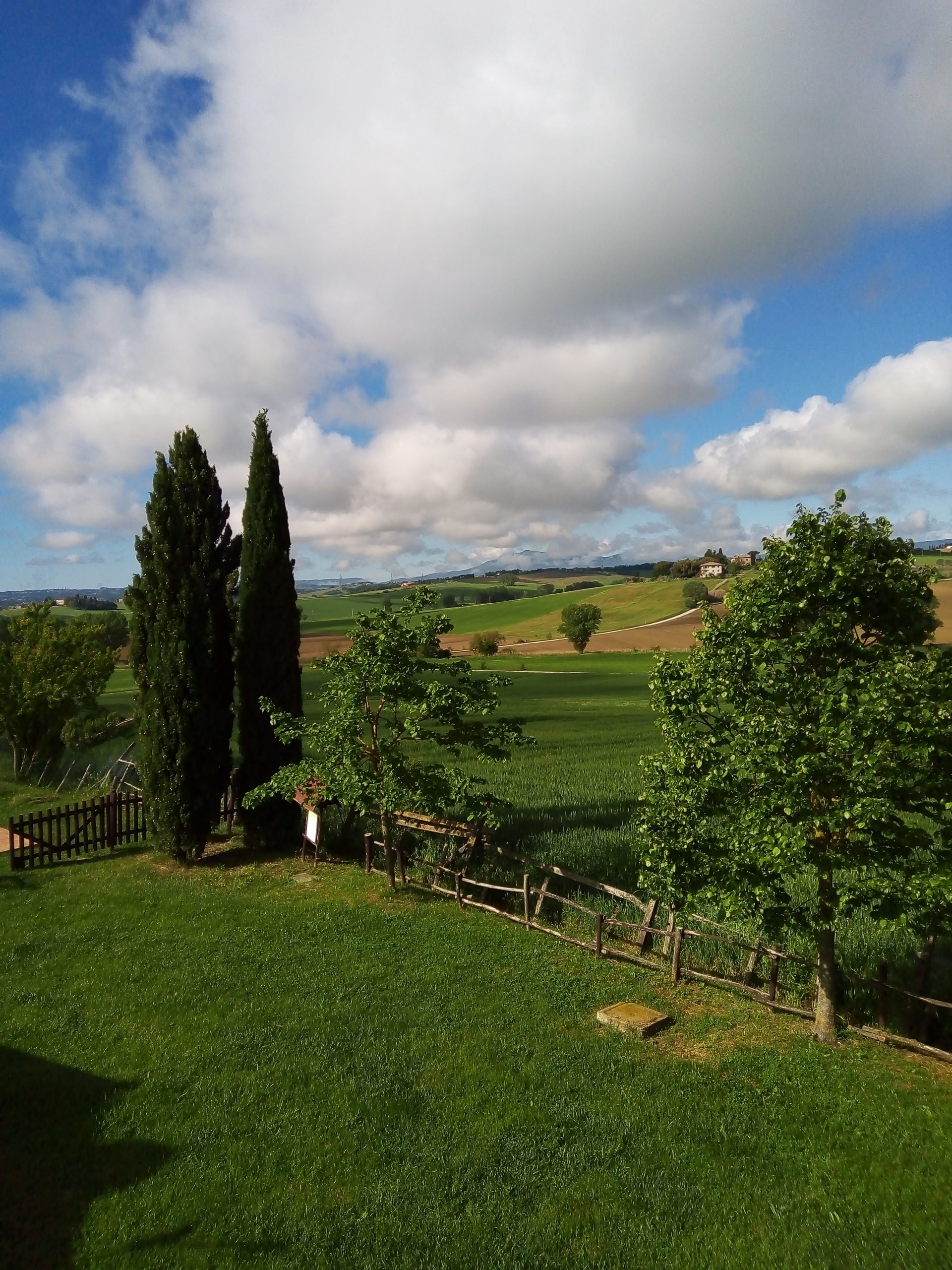 IMG_20210515_091552_684