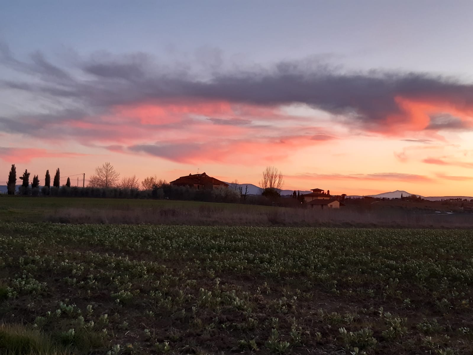 foto cristina 2