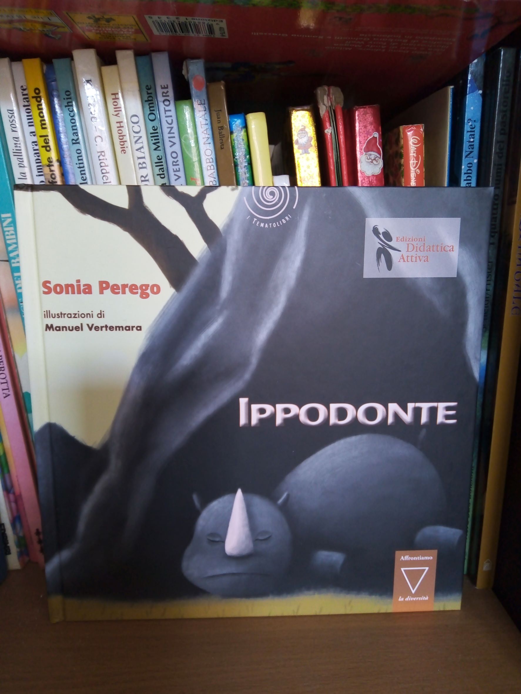 Ippodonte 4